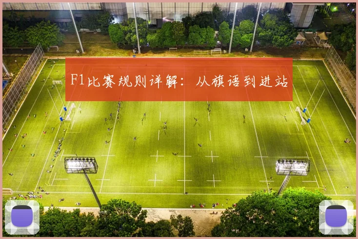 F1比赛规则详解：从旗语到进站