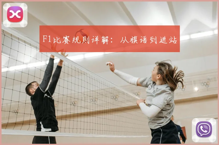 F1比赛规则详解：从旗语到进站